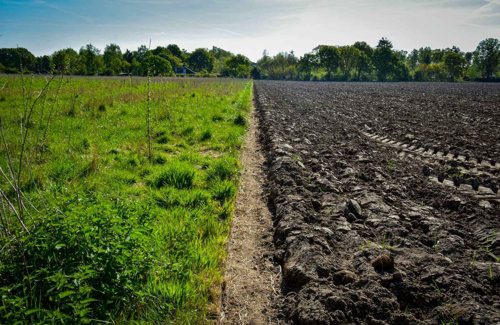 People working together on a farm
